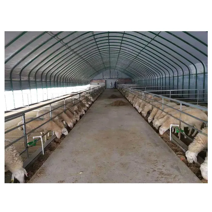 Fournisseur chinois, structure en acier préfabriquée, hangar de ferme de chèvre, hangar de ferme de mouton, conception de maison de chèvre, hangars de ferme
