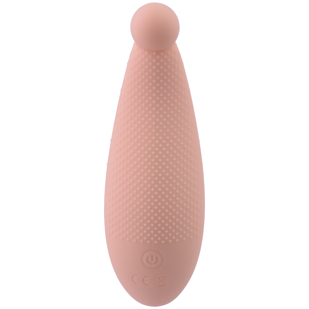 TS