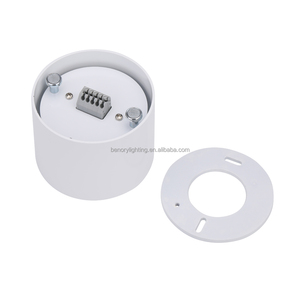 Benory DC 24V <strong>LED</strong> RGBW WW Loxone Tree Ceiling Spot <strong>PWM</strong> KNX Dali <strong>DMX</strong> Zigbee RGB-CCT Smart Automatic Lighting - Product Image 4