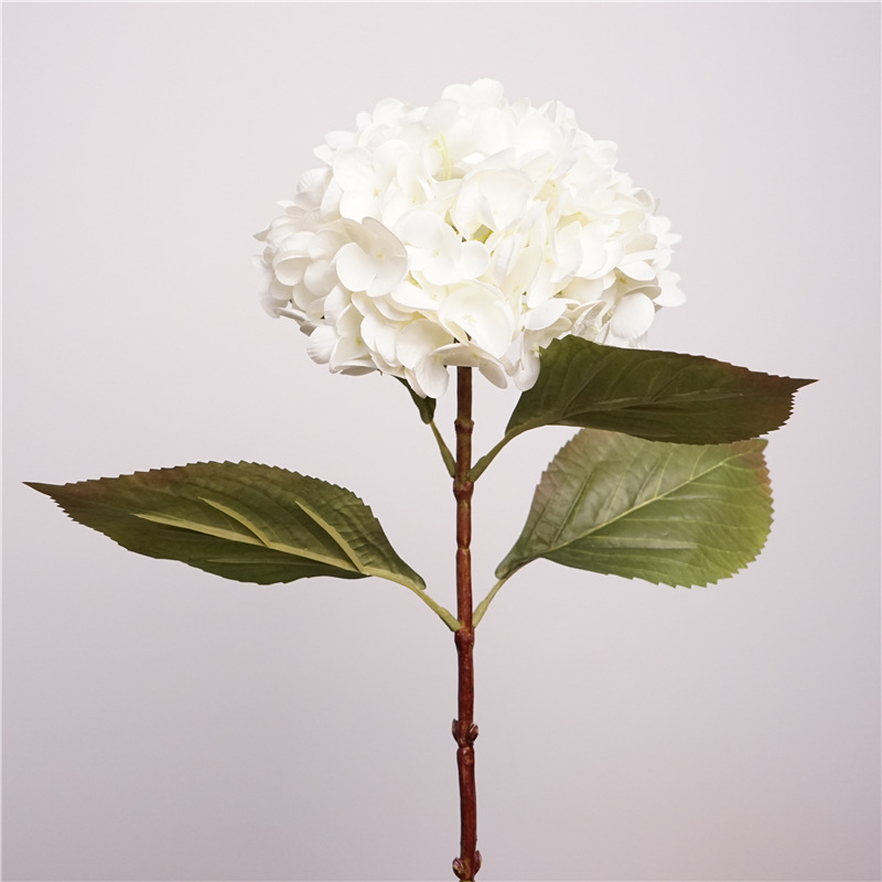 Soft moisturizing athens hydrangea-off white