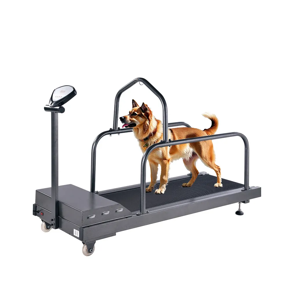 Hot Selling Pet Dog Treadmill indoor Animal Training Exercise Lose Weight Equipment For Cat Dog Walker Running Machine