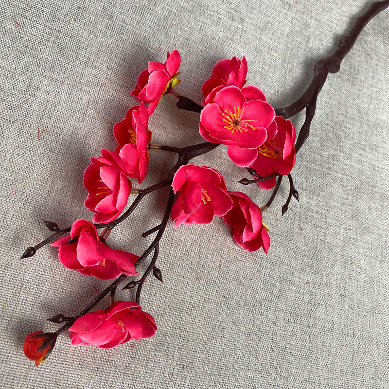Rose Madder