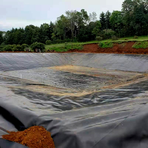 <strong>HDPE</strong> Waterproof Geomembrana 2 mm Green Blue Membrane Lining Sheet for ponds - Product Image 3