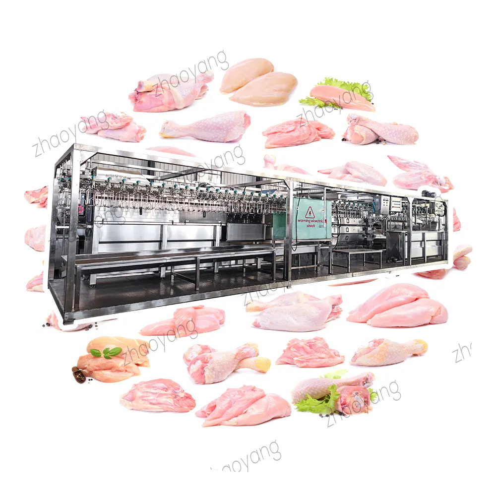 Piezas de repuesto para pollo Halal planta de matanza equipo barato máquina línea fabricante