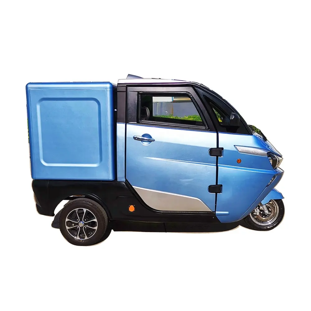 EEC Euro5 Fully Enclosed Mopelens Casenge Piphoneer Three Wheel Scooter Electric Tricycles for Cargo with Cabin Back Cover 60V