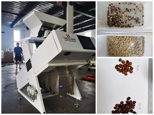 SAN HE ZHONG Clasificador de color Granos industriales Clasificadora de color para café/frijoles/nueces