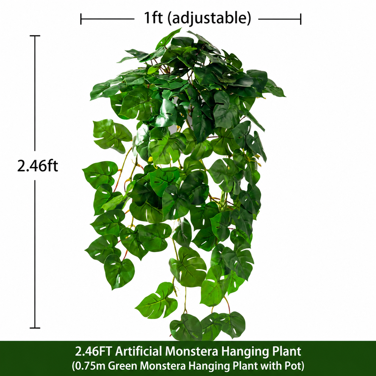 Monstera colgante 2,46 pies verde