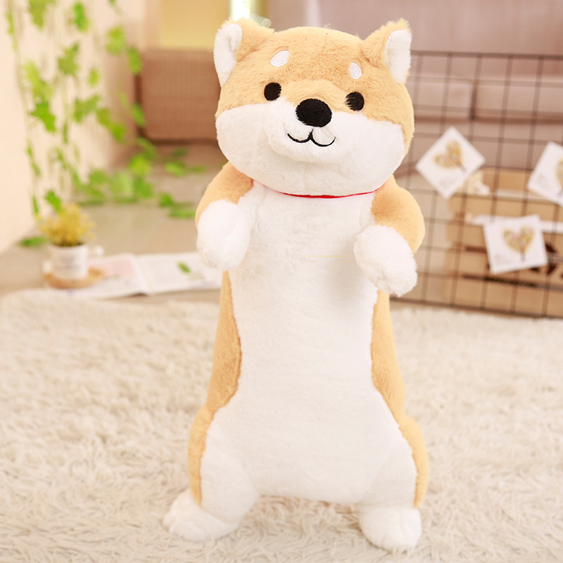 Shiba Inu