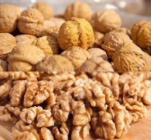 大容量山核桃剥壳机/核桃壳粉碎机/电动自动核桃壳剥壳机 - Product Image 3