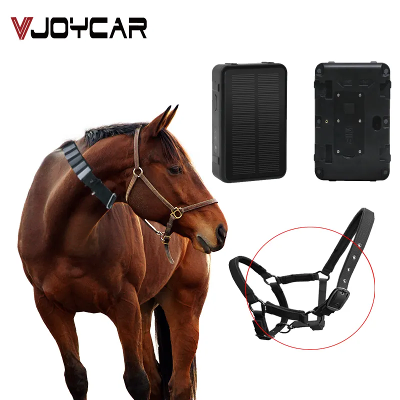 VJOY-cargador inalámbrico V44 4G Lte GSM, dispositivo Solar de seguimiento Gps para ganado, caballo Camel, con mapa Gps gratis