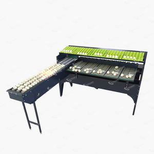 Commercial Use Egg Weighting <strong>Sorting</strong> <strong>Machine</strong> Egg Grading <strong>Machine</strong>