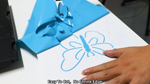 Colorful Graphic Printing <strong>Vinyl</strong> Roll Self-adhesive <strong>Vinyl</strong> for Cutting Plotter - Product Image 6