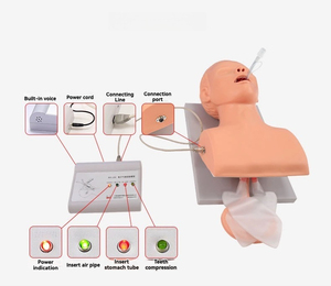 KyrenMed 3D insan elektronik endotrakeal trakeal entübasyon manken simülasyonu ile Alarm hava yolu entübasyon eğitim modeli - Product Image 6