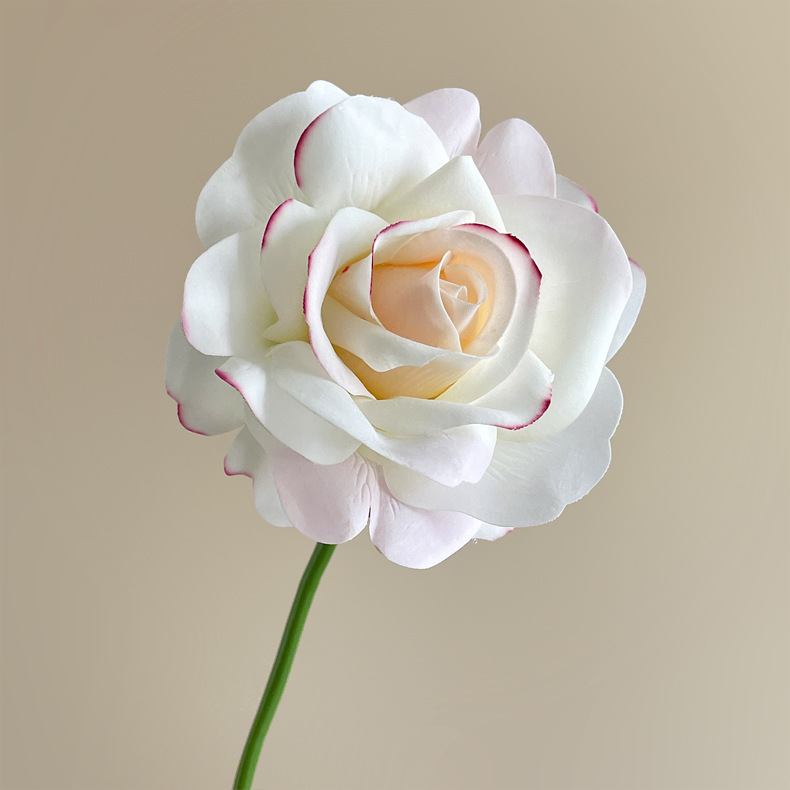 05-Crème