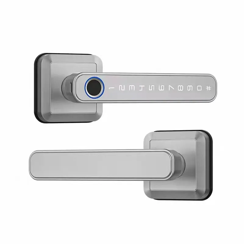 TTlock kunci pintu pintar keamanan, kunci pintu keamanan dalam ruangan dengan sidik jari WIFI untuk Hotel