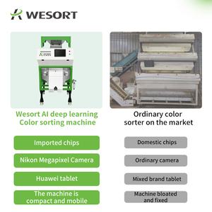WESORT Hersteller S2B10-AA AI Walnuss Sortiermaschine Nuss Farb sortiermaschine eignet sich für alle Arten von Nuss Materialien Sortierung - Product Image 5