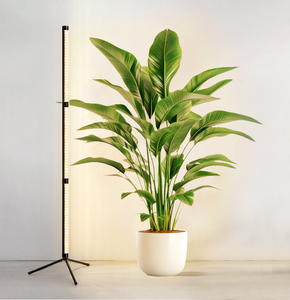 High Efficiency Full Spectrum <strong>LED</strong> Grow Lights for Greenhouse Plants with Deep Light Penetration Technology - Product Image 3