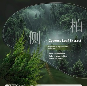 A base vegetale cipresso foglia Shampoo sapone per Anti-perdita di capelli rapida crescita dei capelli forfora rimozione solido sette verde Shampoo bar - Product Image 3