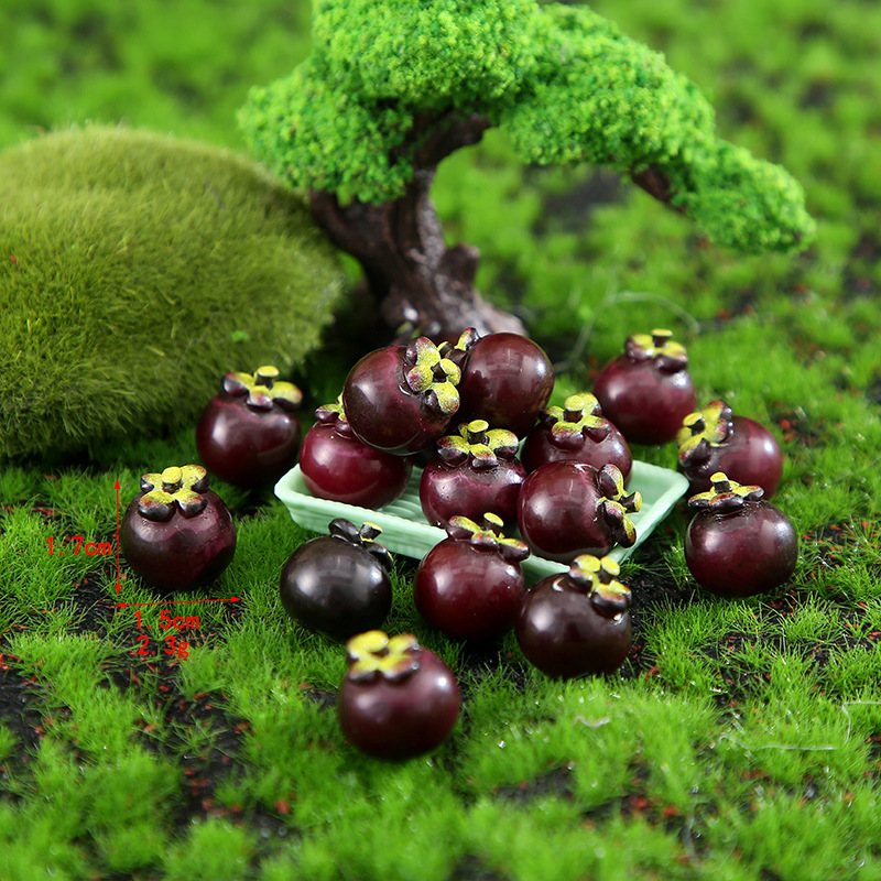 Mangosteen