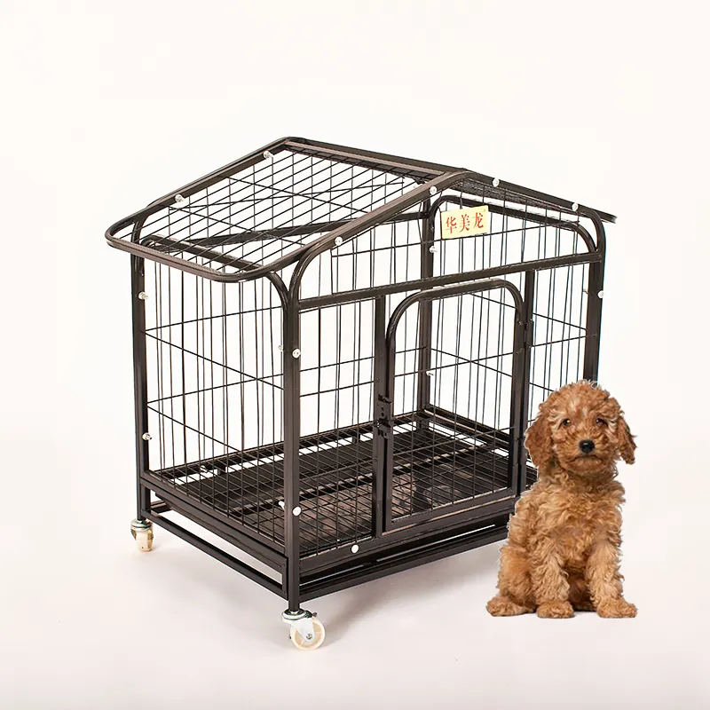 Conception de toit triangulaire ferme de haute qualité affichage de fil pour animaux de compagnie Cage de dressage de chien Cages pour chiens Cages pour chenils en métal pour chien