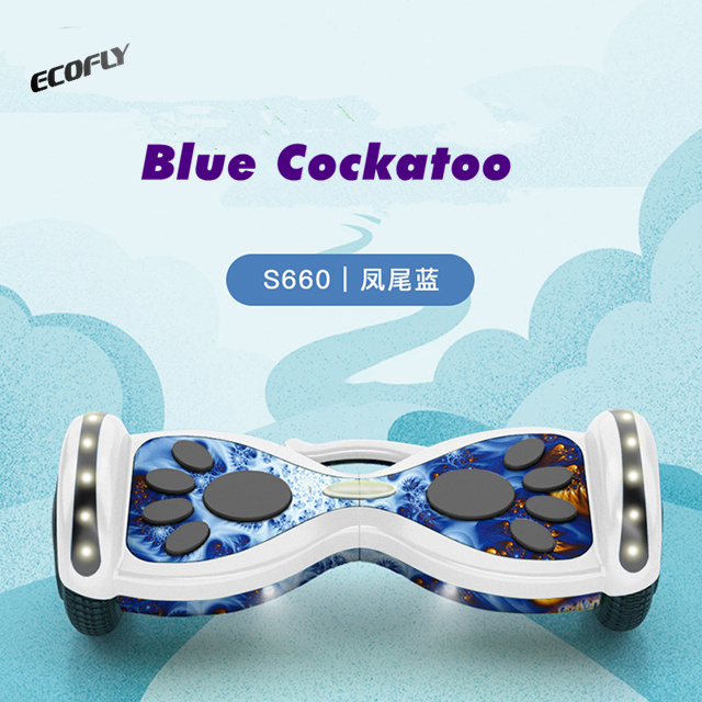 Blue Cockatoo