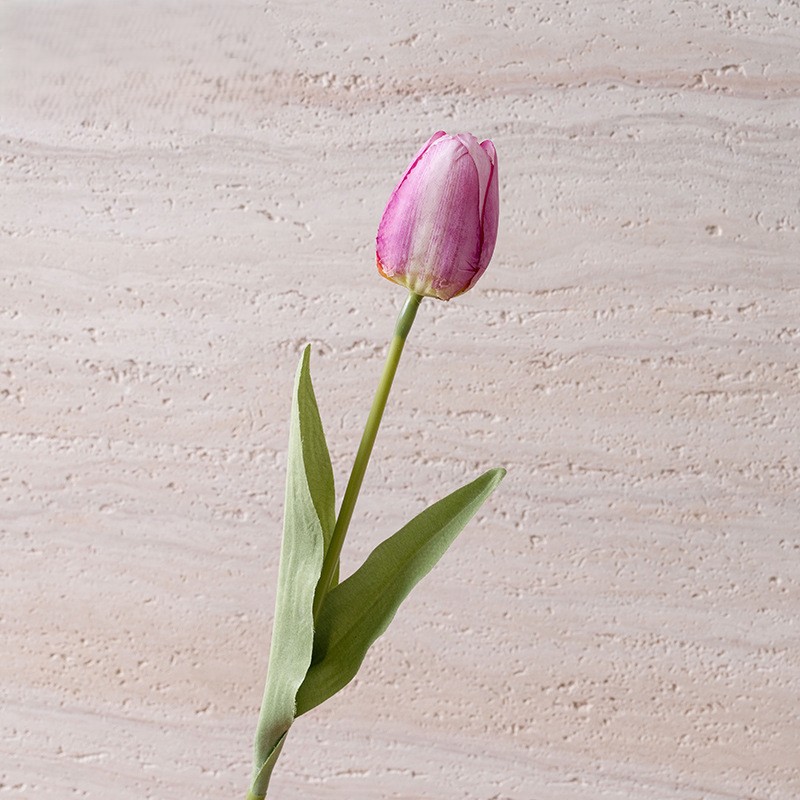 Rose garance