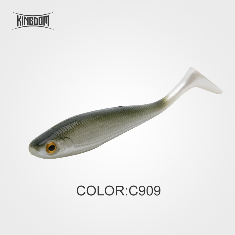 c909