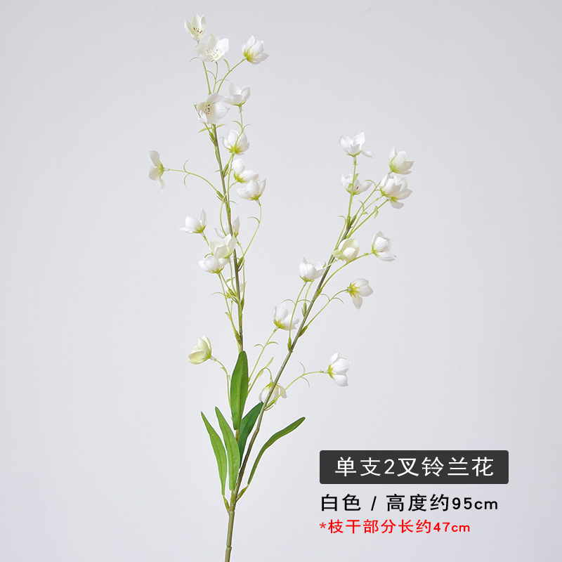 #1 white