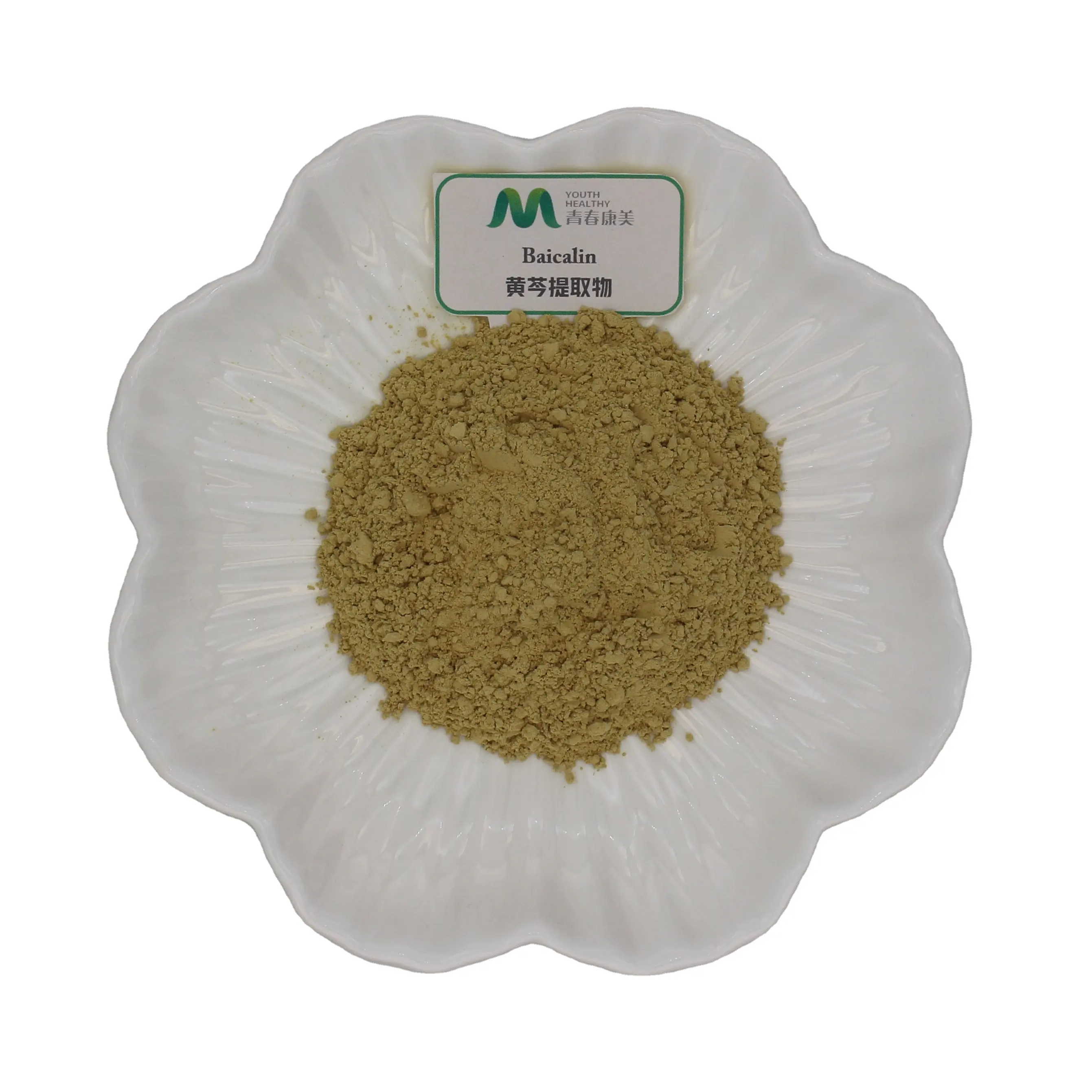 Scutellaria Baicalensis Root Extract Powder 98% Baicalin Powder