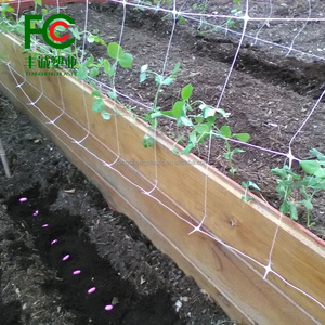 PP Plant <strong>Support</strong> <strong>Netting</strong> for Plant Trellis and Flower <strong>Support</strong> with Bean <strong>Netting</strong> Solutions - Product Image 6