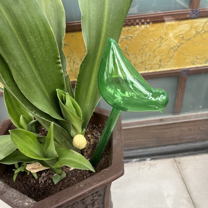 Gran pájaro verde