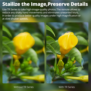 Godox TR-C1 TR-C3 TR-N1 TR-N3 TR-S1 TR-S3 TR-P1 Auslöser 2.4GHz Wireless Timer Fernbedienung für Kamera-Fotografie