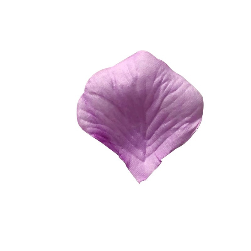 Viola chiaro