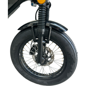 6 vitesli dişli disk fren sistem kaya ve rulo tarzı ile heyecan verici 60V arka Hub elektrikli bisiklet - Product Image 6