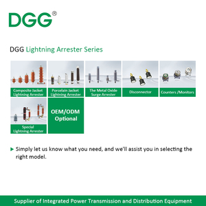 Pararrayos de chaqueta de porcelana serie DGG Y/F para sistemas de distribución de transformación de transmisión de generación de energía AC220KV - Product Image 3