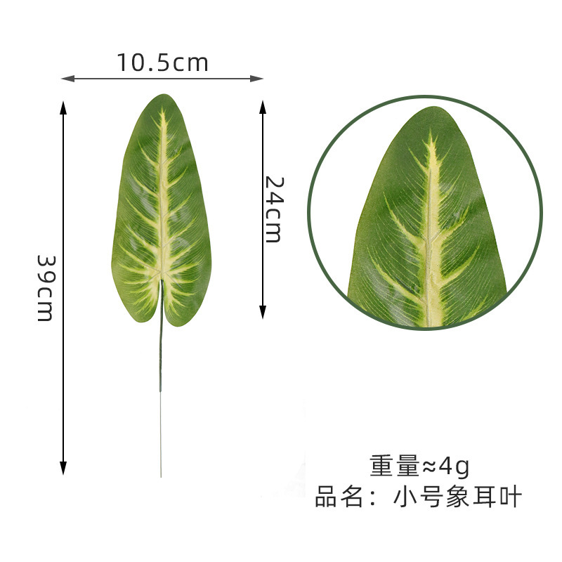 Elephant ear leaf small