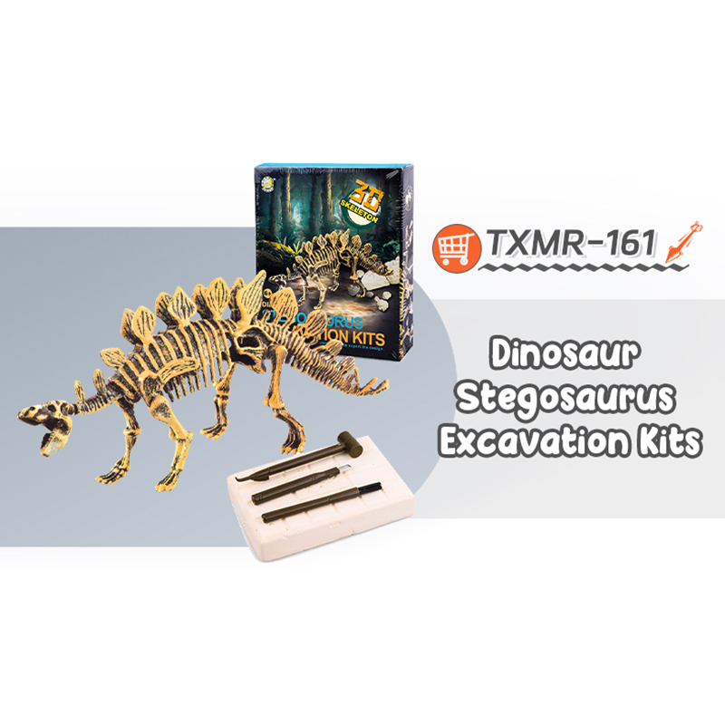 TXMR-161