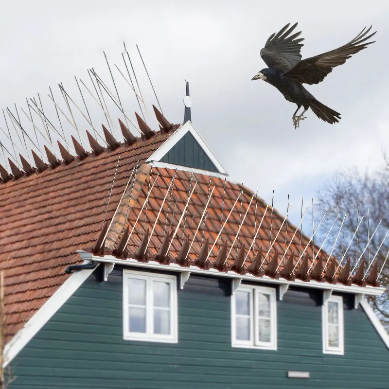 Yeni kombinasyon plastik taban paslanmaz çelik kuş başak avlu balkon kuş başak önleme