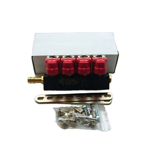 High Quality <strong>Sequential</strong> <strong>Injection</strong> <strong>System</strong> 4 Cyl CNG LPG Common Injector Rail for Cars