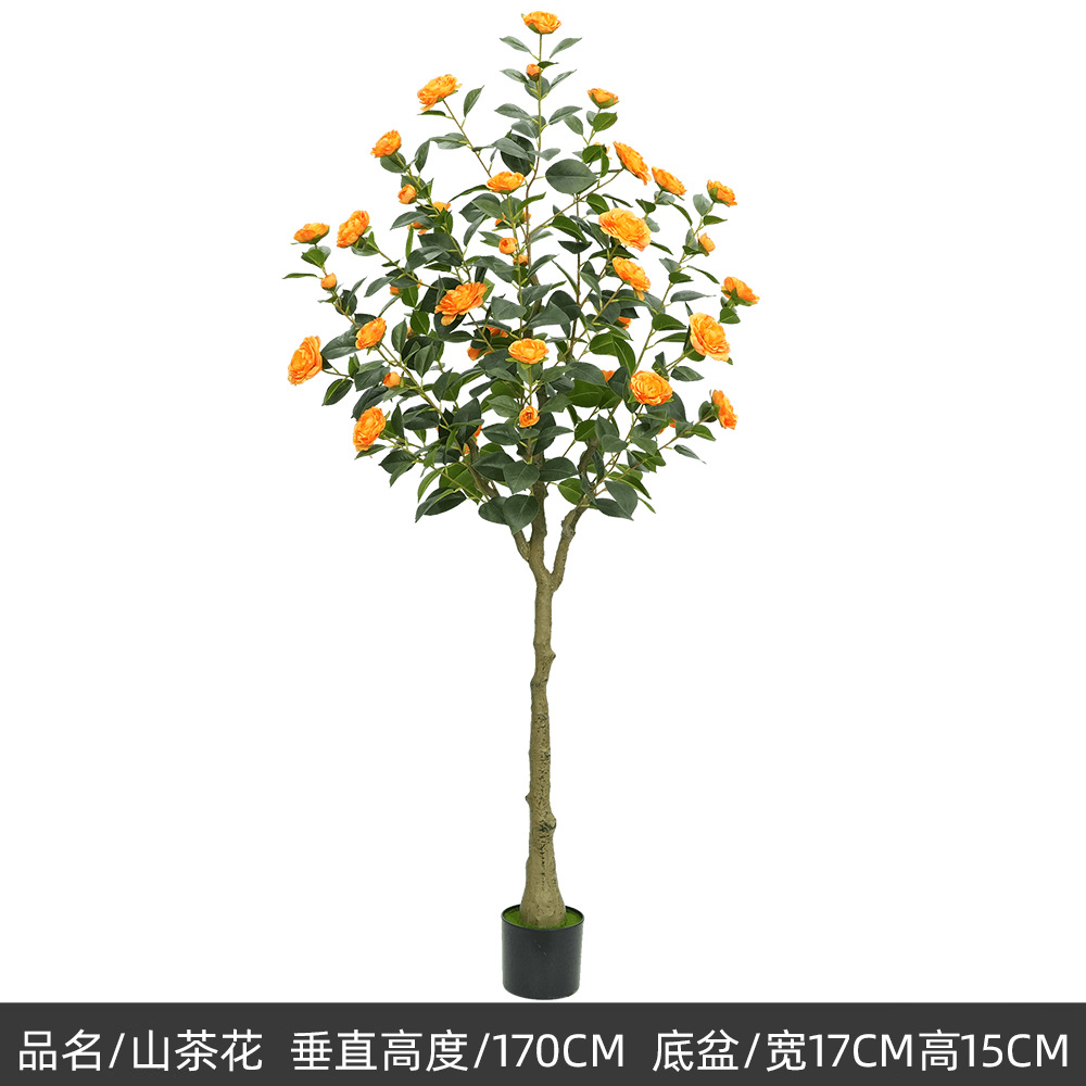 170cm camélia, orange