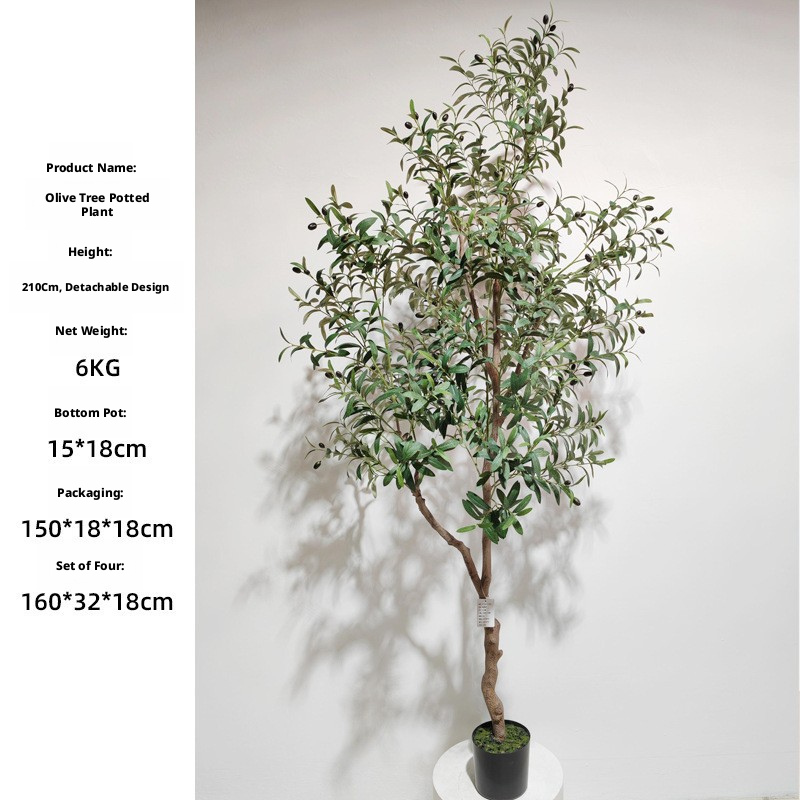 210cm Olive Tree (Detachable Style)