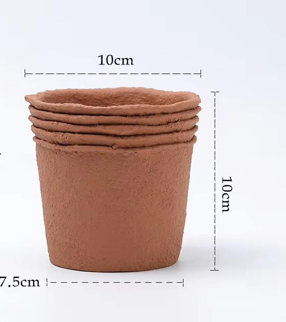 Paper Pulp Jujube Brown Small Size 10cm