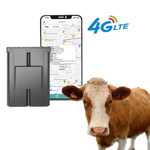 4g全网通智能定位终端GPS牛牛定位器用于监视动物搜索智能Gps跟踪系统 - Product Image 1