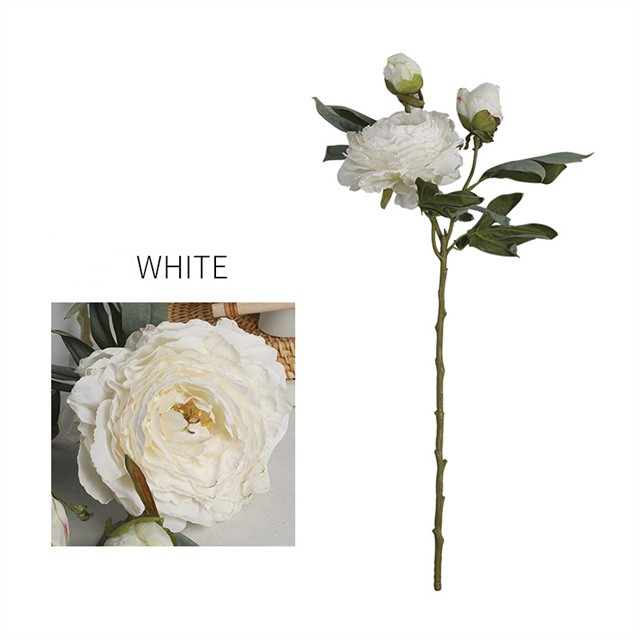 Blanc