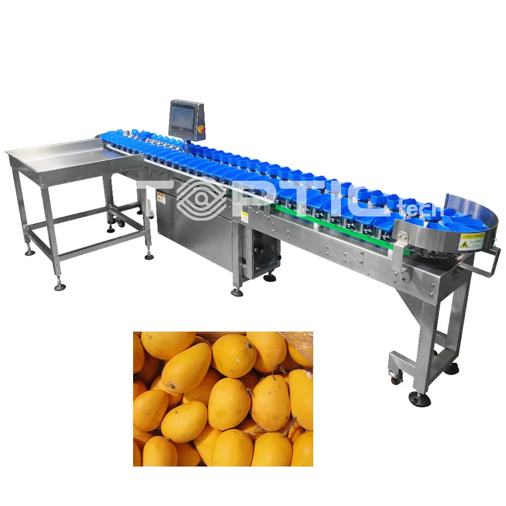 Industriemaschinen können angepasst werden mango-sortierungs- und sortierungsmaschine und würstchen-klassierungsmaschine