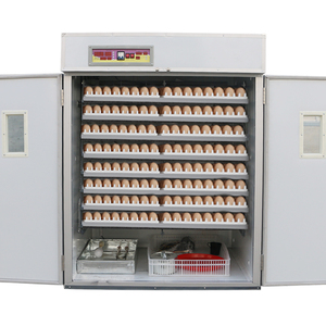 Máy Ấp Trứng Cút Thương Mại 7000 Máy Ấp Trứng Hoàn Toàn Tự Động Cho Thiết Bị Ấp Trứng Trang Trại - Product Image 6