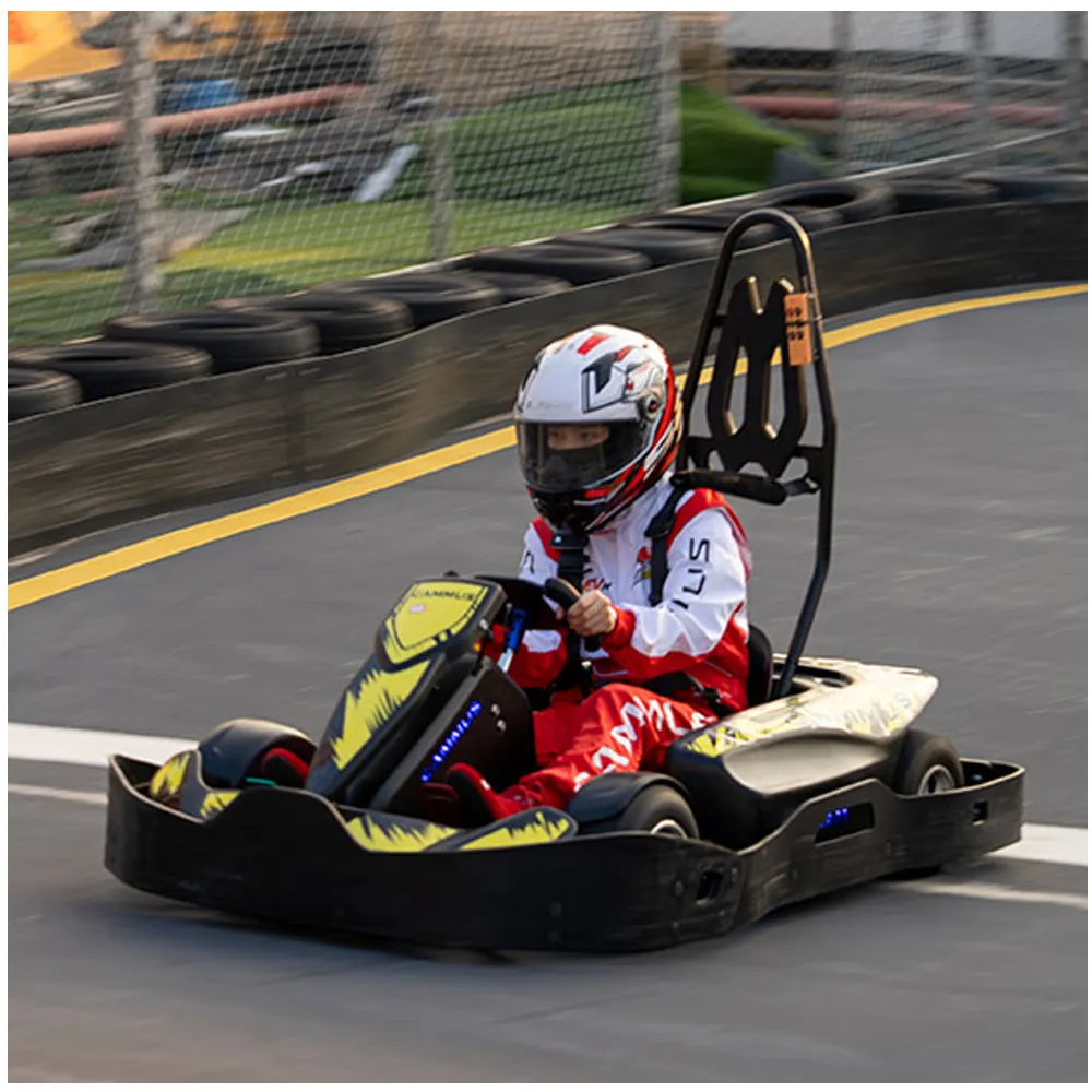 Your-city High Speed Go Karts Outdoor Racing Electric Go Kart For Kids And Adults
