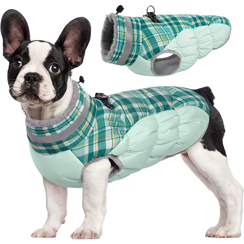 ลายสก๊อตสีเขียว