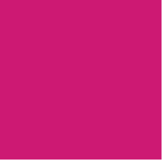 Rose chaud