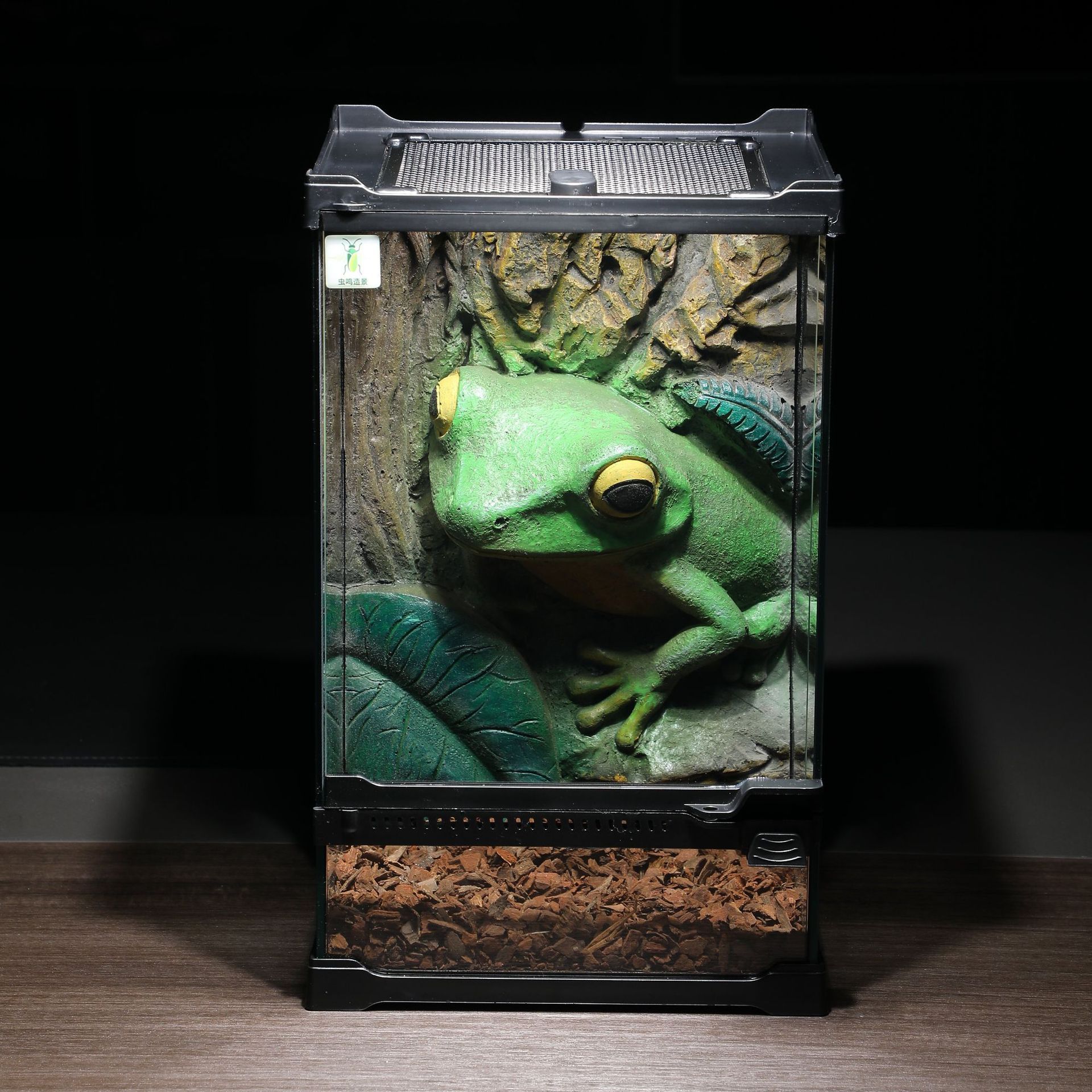 Tree frog forest